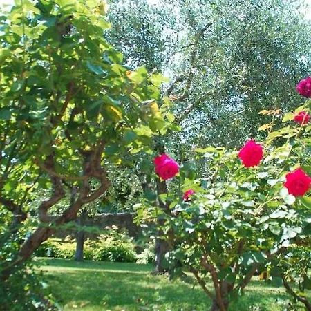 Apartman Lina 2